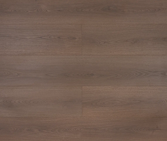 фортис хл (fortis xl)